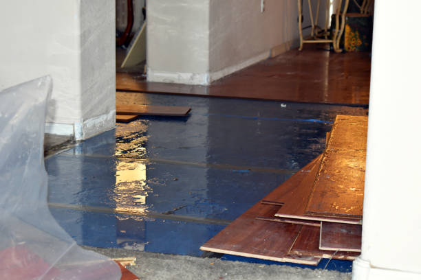 Professional Water Damage Restoration technician working in Petersburg, WV